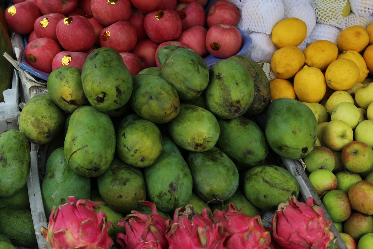 IMG_2061 - 복사본.JPG