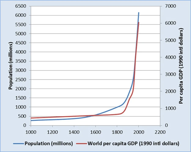 997A5D3B5C5E247026293B