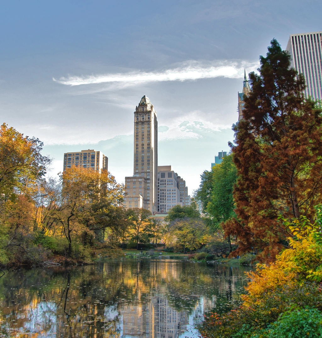 99174F4E5E01AD5B202D93