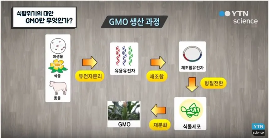 gmo-2.JPG