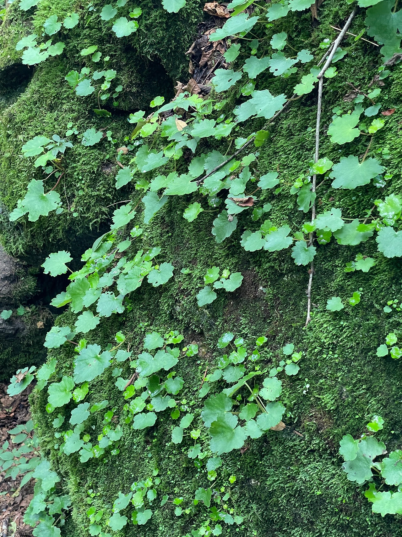 KakaoTalk_Photo_2022-09-07-14-48-13 005.jpeg