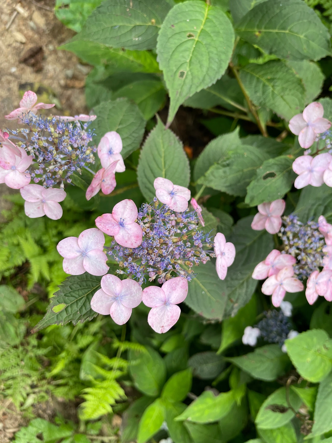 KakaoTalk_Photo_2022-09-07-14-48-13 004.jpeg