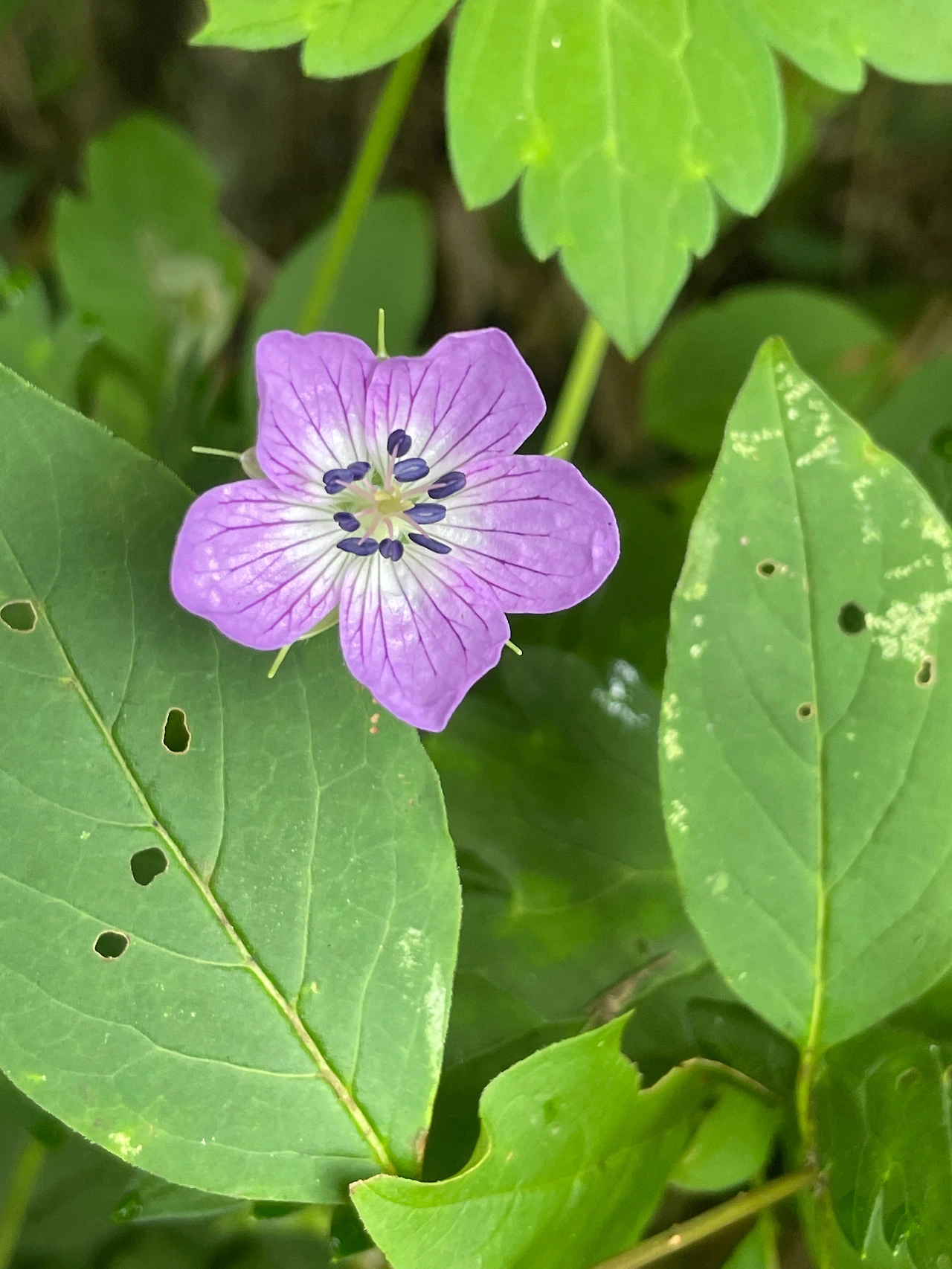 KakaoTalk_Photo_2022-09-07-14-48-13 006.jpeg