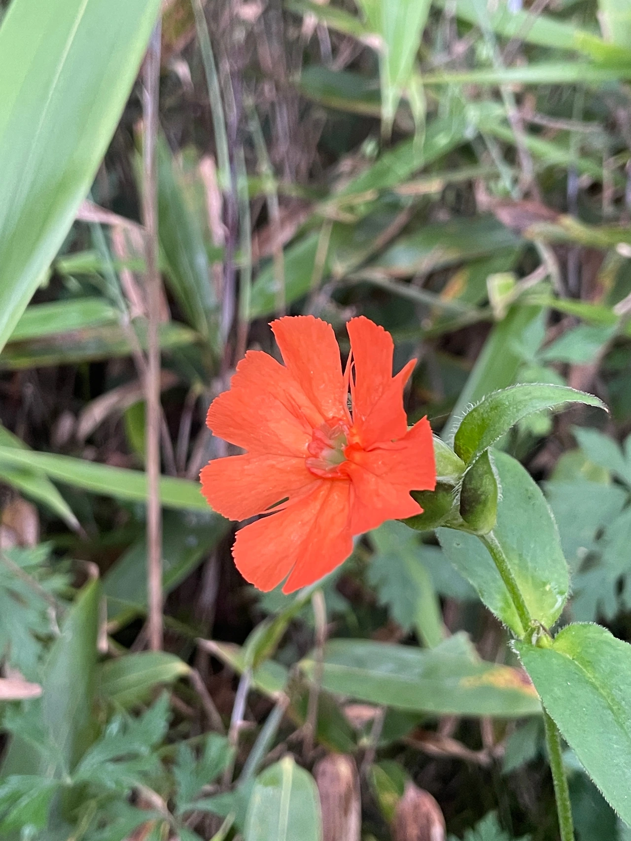 KakaoTalk_Photo_2022-09-07-14-48-13 008.jpeg