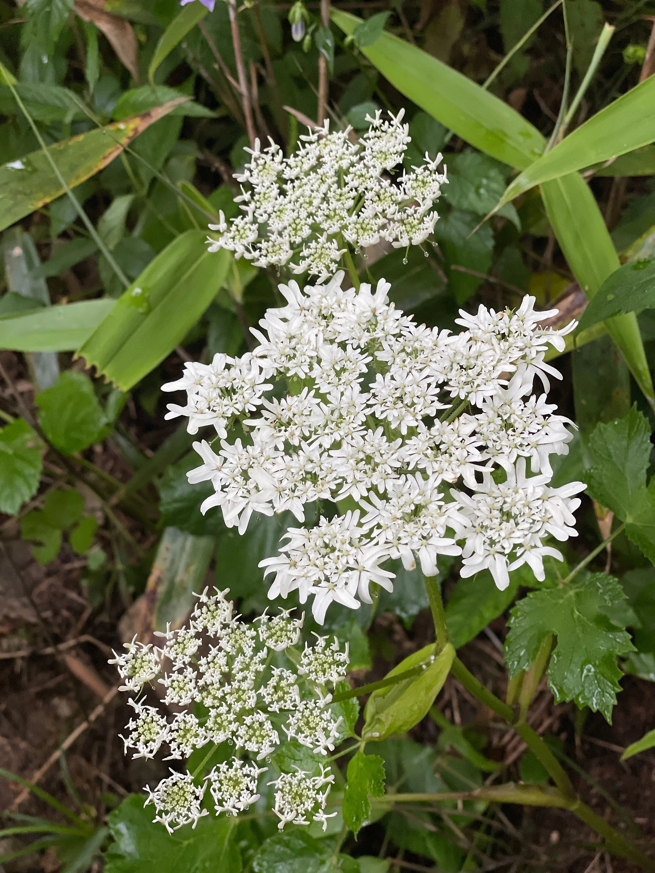 KakaoTalk_Photo_2022-09-07-14-48-13 010.jpeg