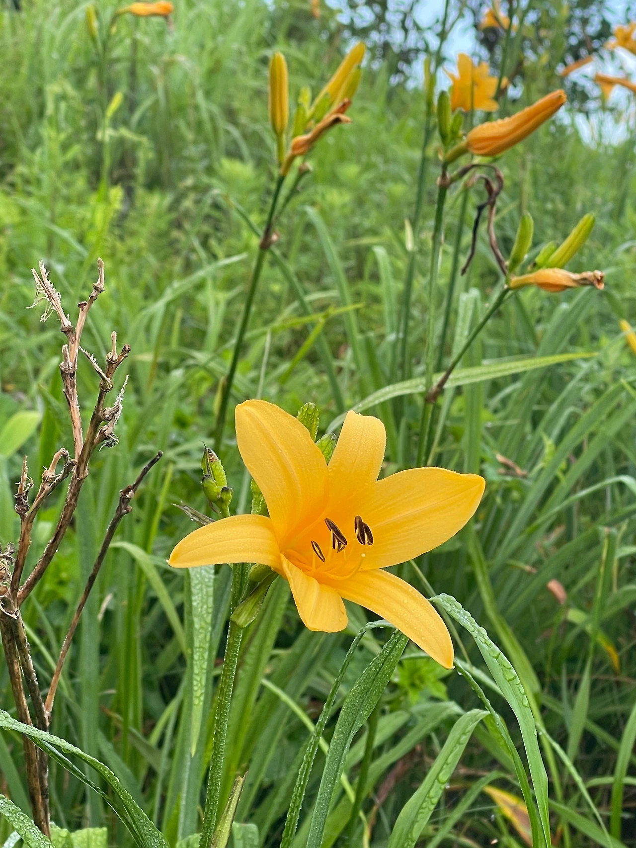 KakaoTalk_Photo_2022-09-07-14-48-13 009.jpeg