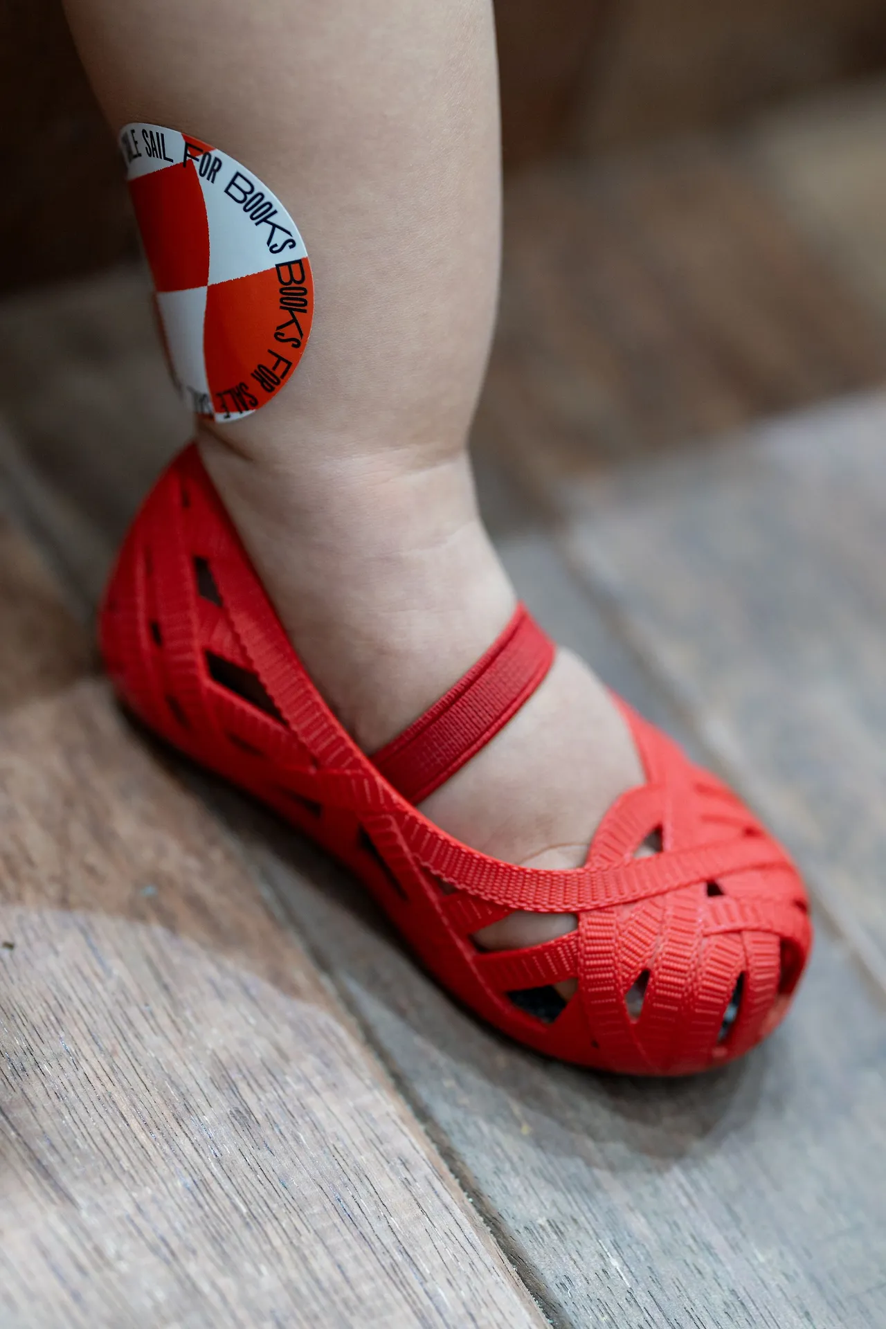 image?src=https%3A%2F%2Fprod-files-secure.s3.us-west-2.amazonaws.com%2Fd21eb82b-f4cf-4e3c-9f48-7f7b2f9fc718%2Fab599bf2-f19b-4891-aa11-bdadf34e0871%2FDSJ04902.jpg&blockId=1377e281-b74a-807a-88d9-ff66b27f6bd2