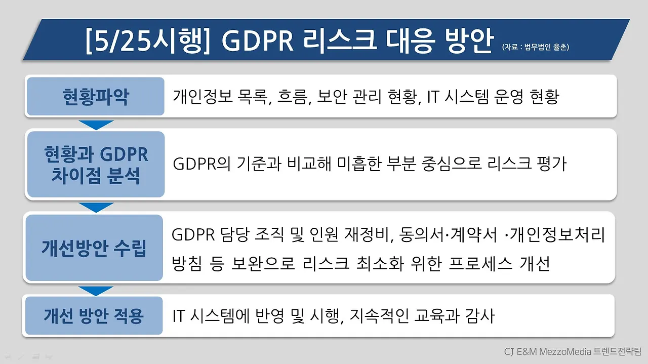 GDPR 리스크 대응방안_메조미디어.JPG
