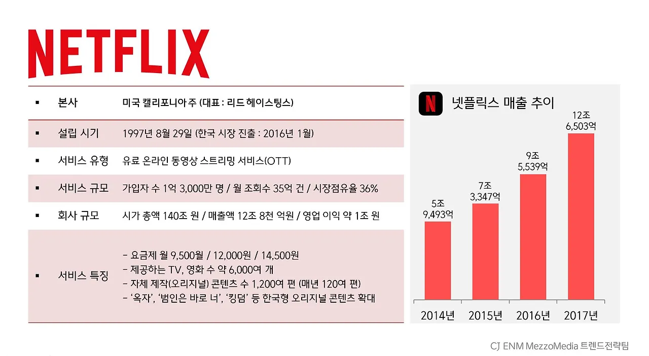 넷플릭스 한눈에 보기_메조미디어.JPG