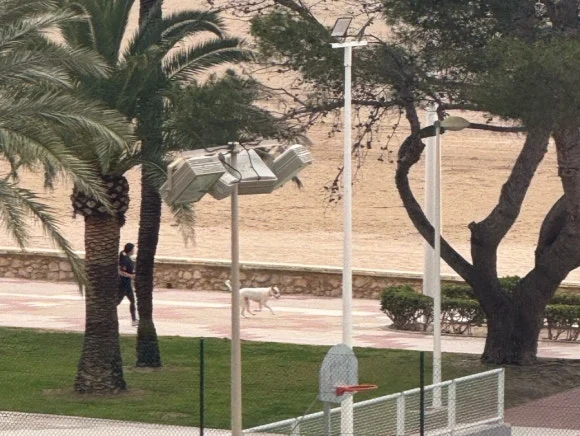 output_977395756.jpg?type=w580