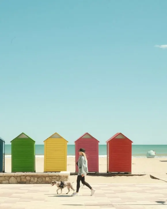 47231DC0-DC2D-4234-883B-5E9C2A1123B1.jpg?type=w580