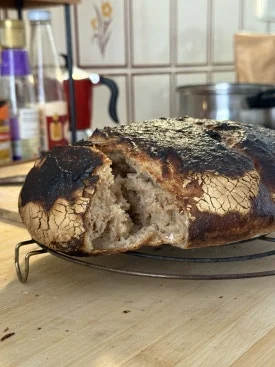 IMG_4794.jpg?type=w275