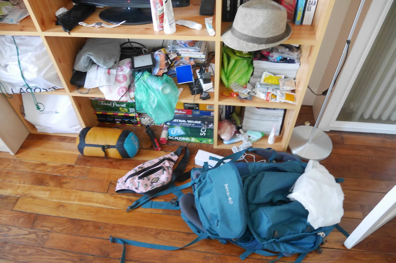 사진이 좀 흐릿한데 프랑스에서 베드버그 때문에 짐 펼쳐놨던 사진인데 괜찮으면 써도될듯.JPG