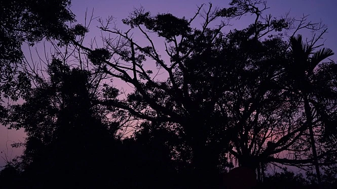 movie_image.jpg?type=m665_443_2