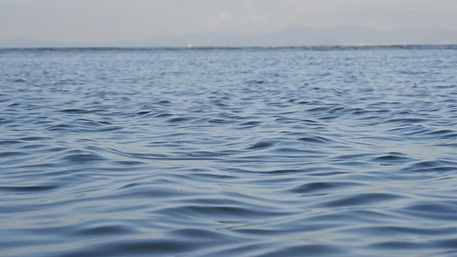 movie_image.jpg?type=m665_443_2