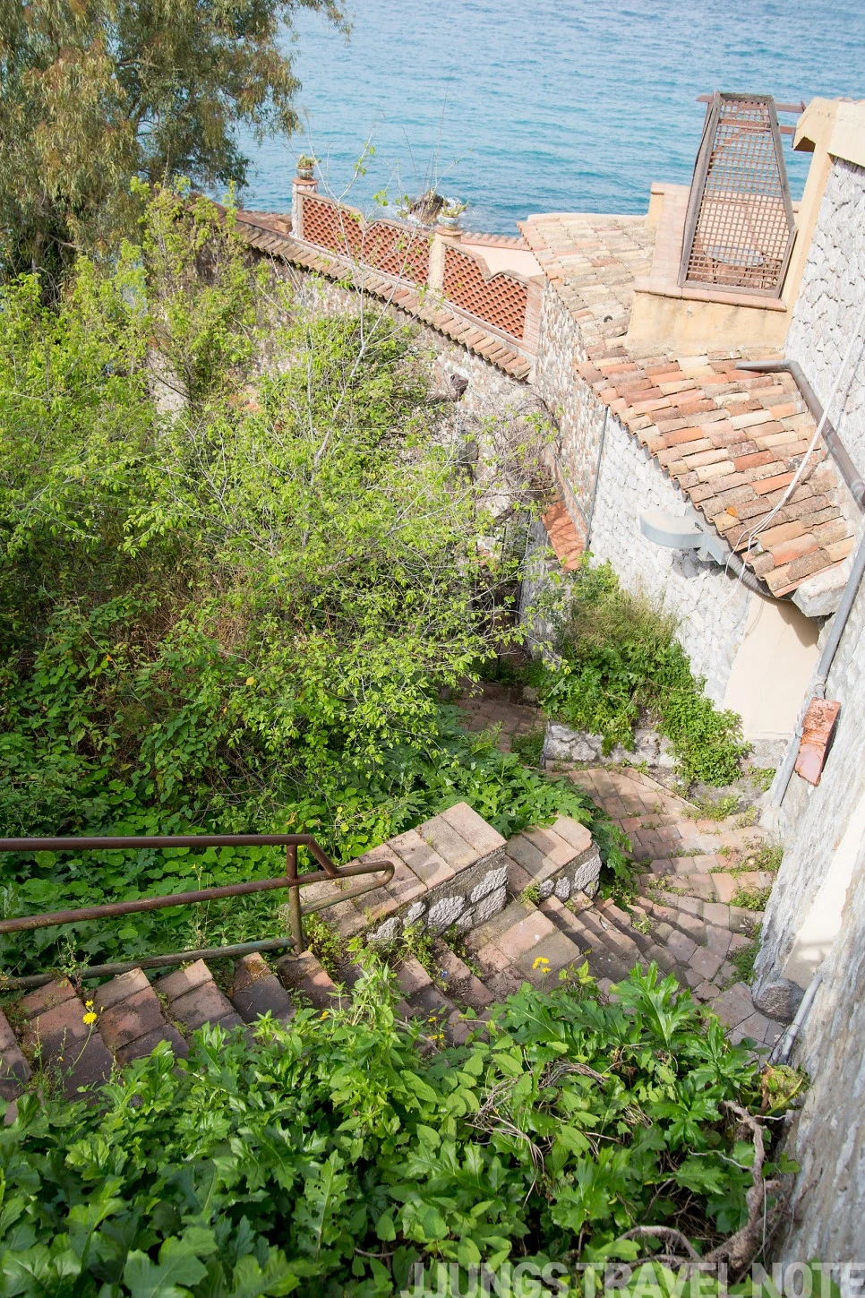 IMG_3199.jpg?type=w966