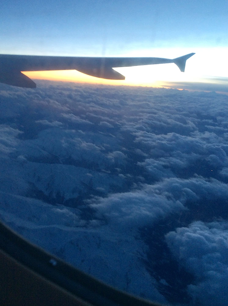 IMG_0221.jpg?type=w1