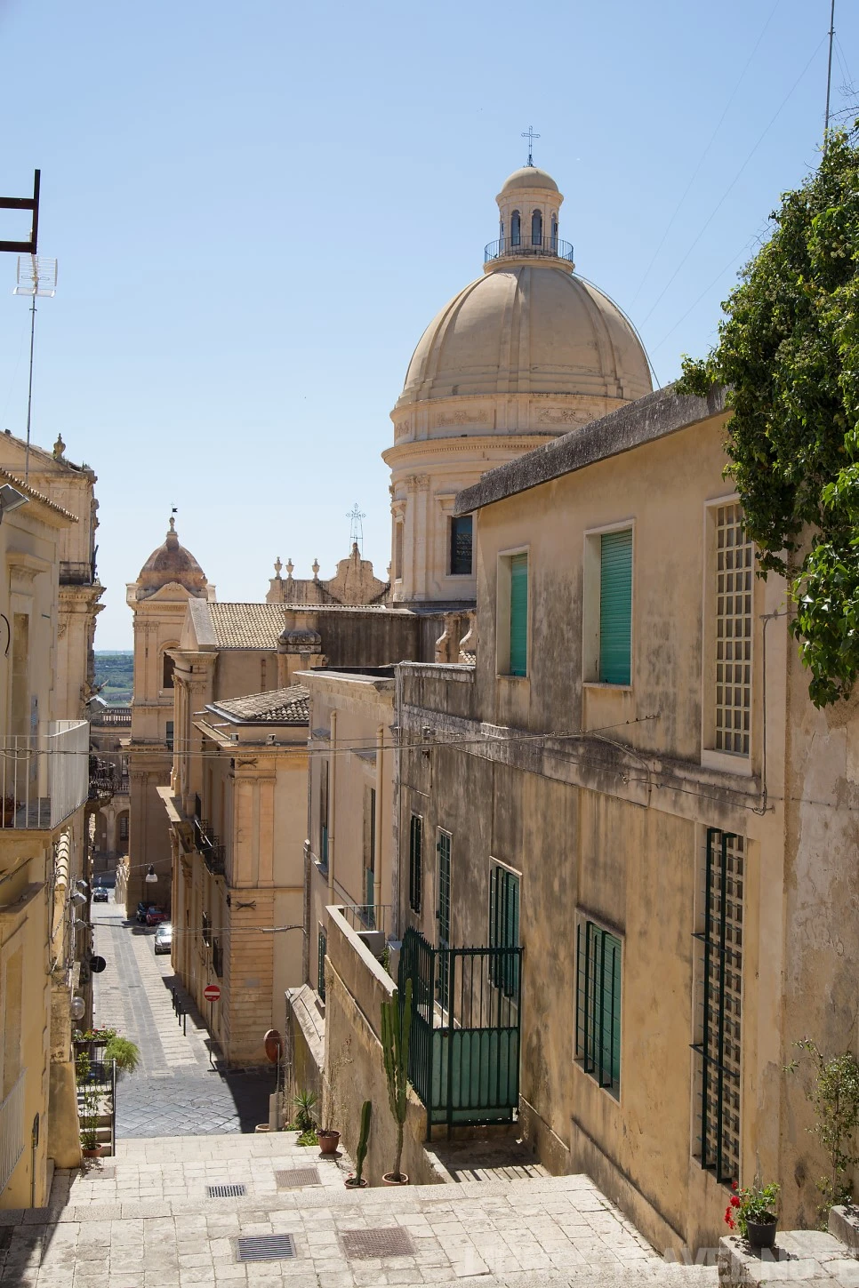 IMG_3601.jpg?type=w966