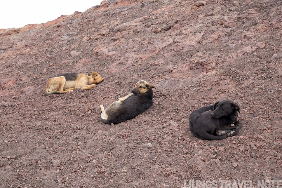 IMG_2712.jpg?type=w966