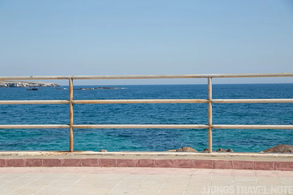 IMG_3663.jpg?type=w966