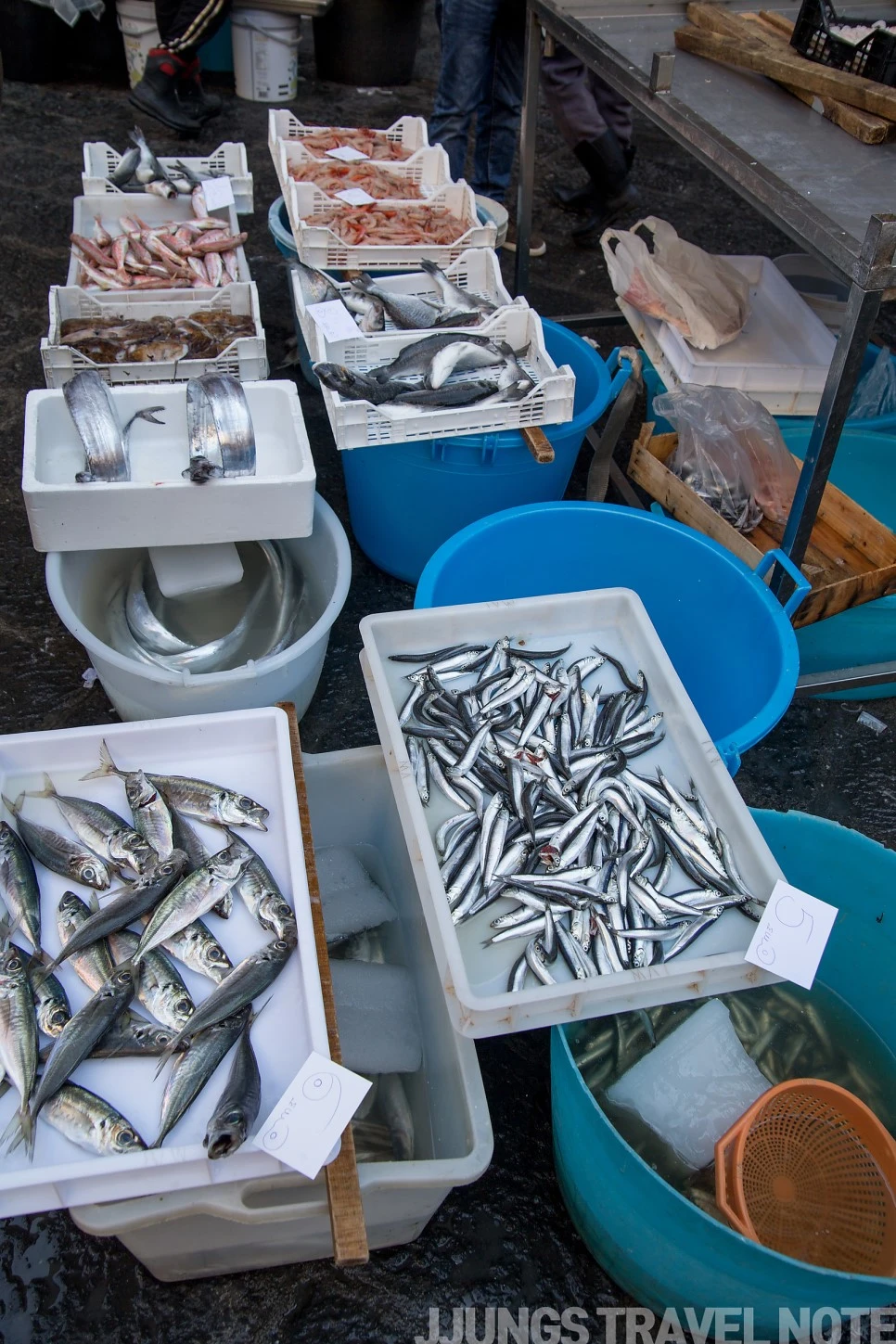 IMG_3301.jpg?type=w966