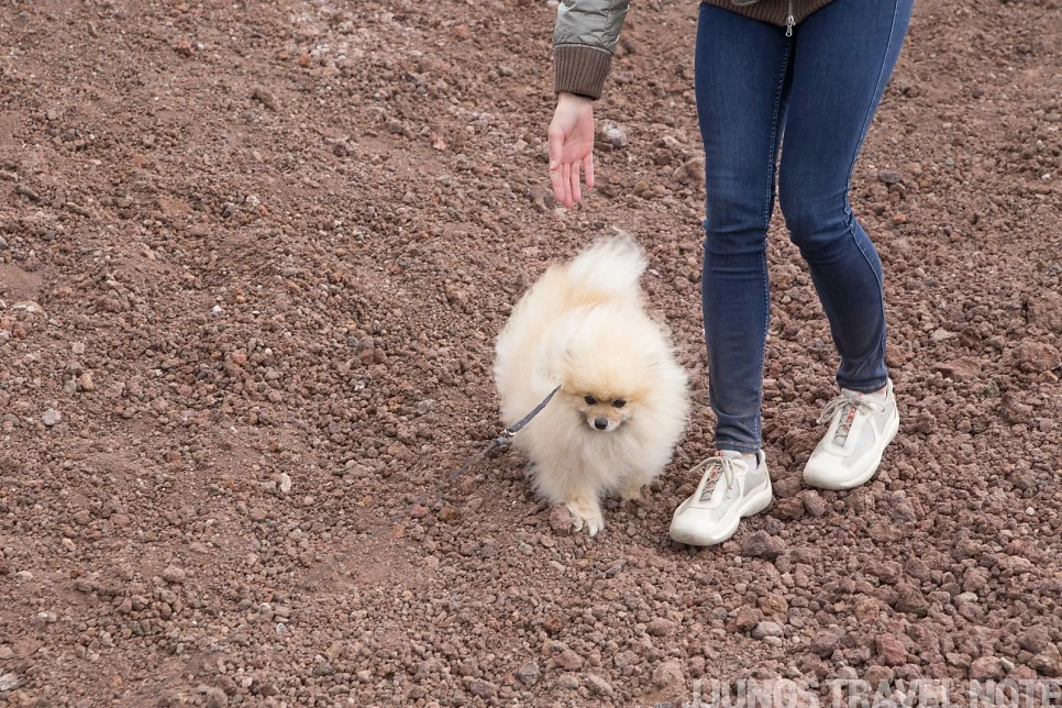 IMG_2696.jpg?type=w966