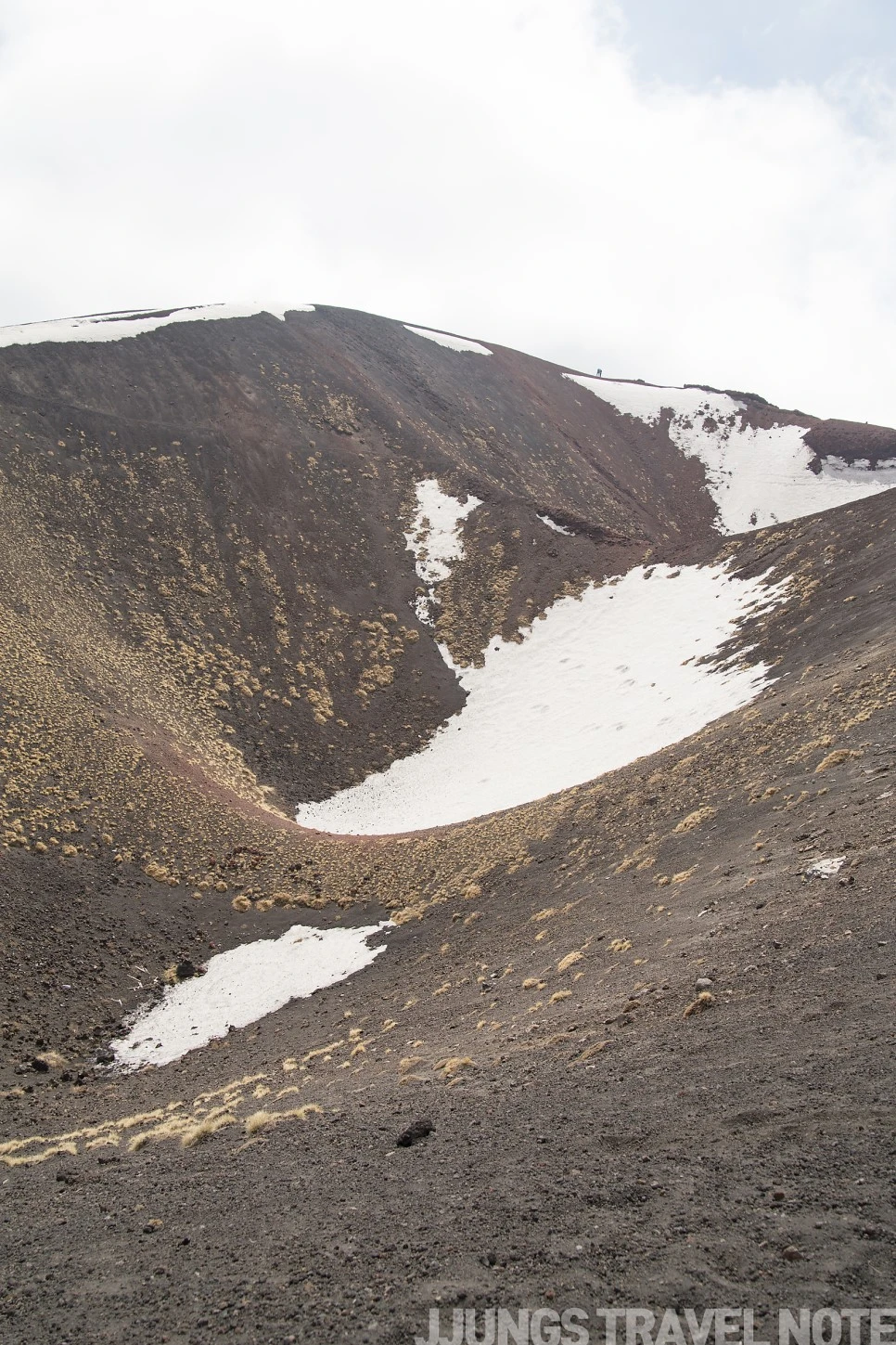 IMG_2679.jpg?type=w966