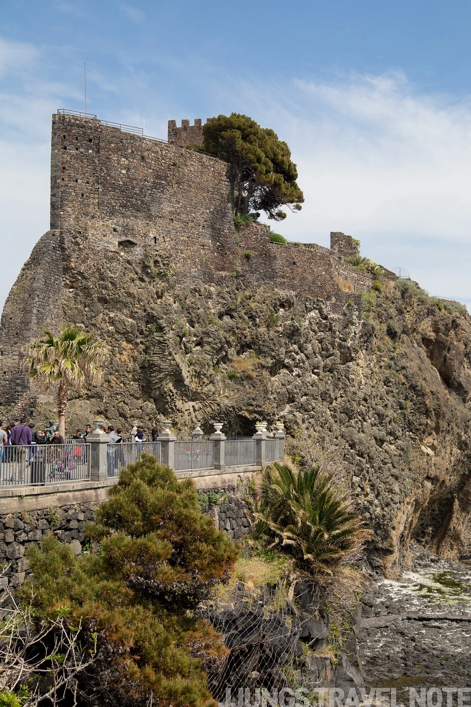 IMG_2469.jpg?type=w966