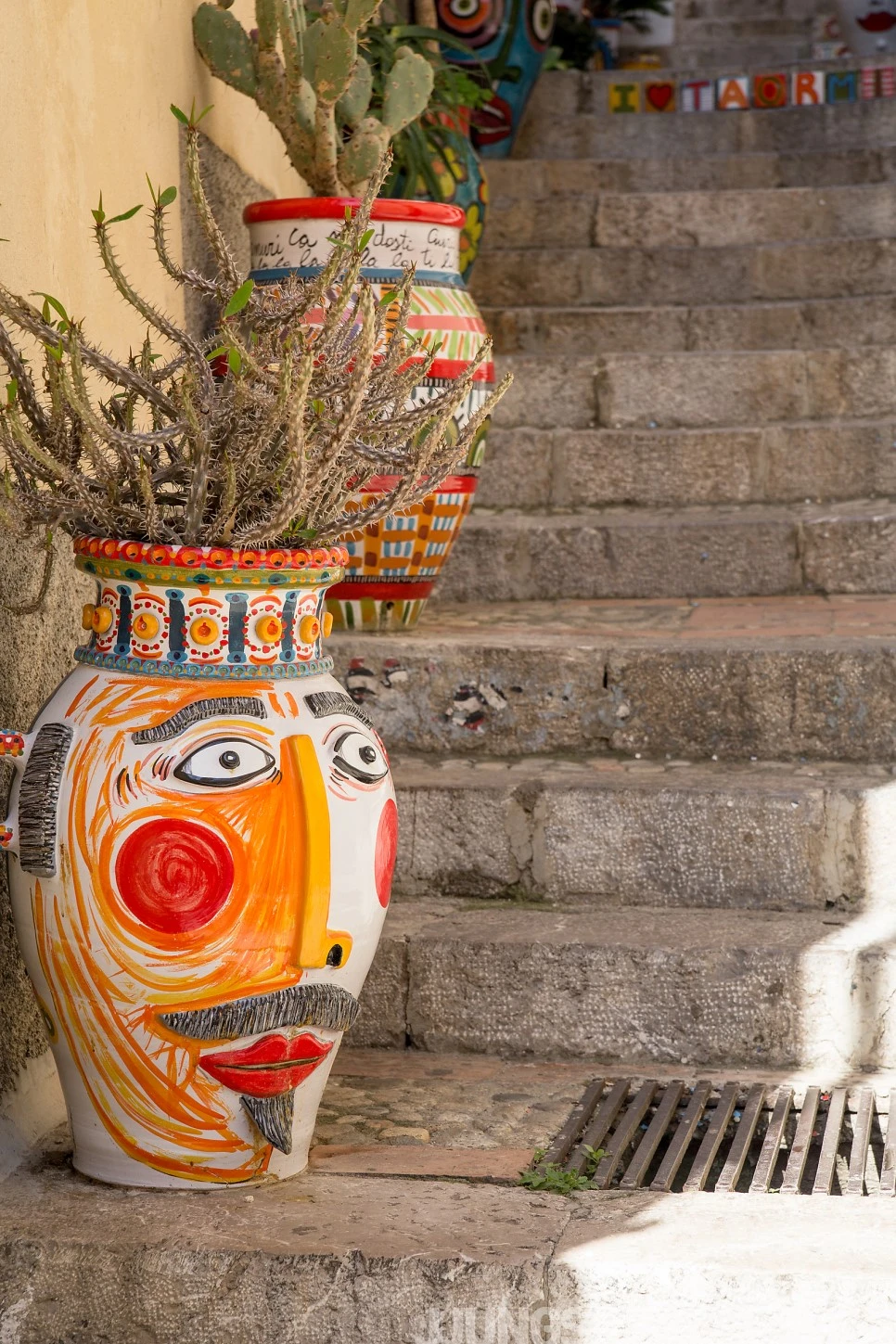 IMG_2216.jpg?type=w966