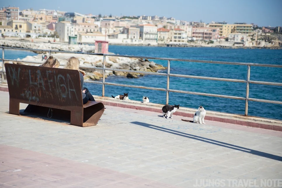 IMG_3655.jpg?type=w966