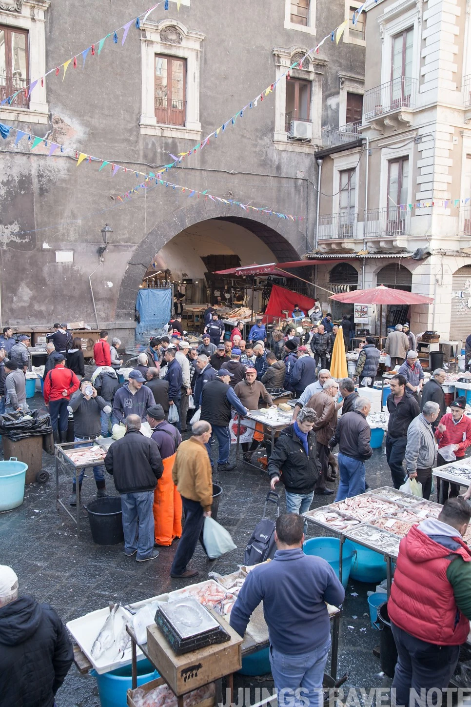 IMG_3299.jpg?type=w966