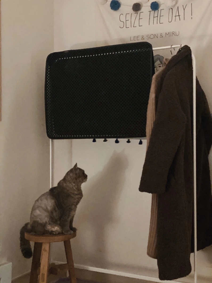 IMG_6705.JPG?type=w1