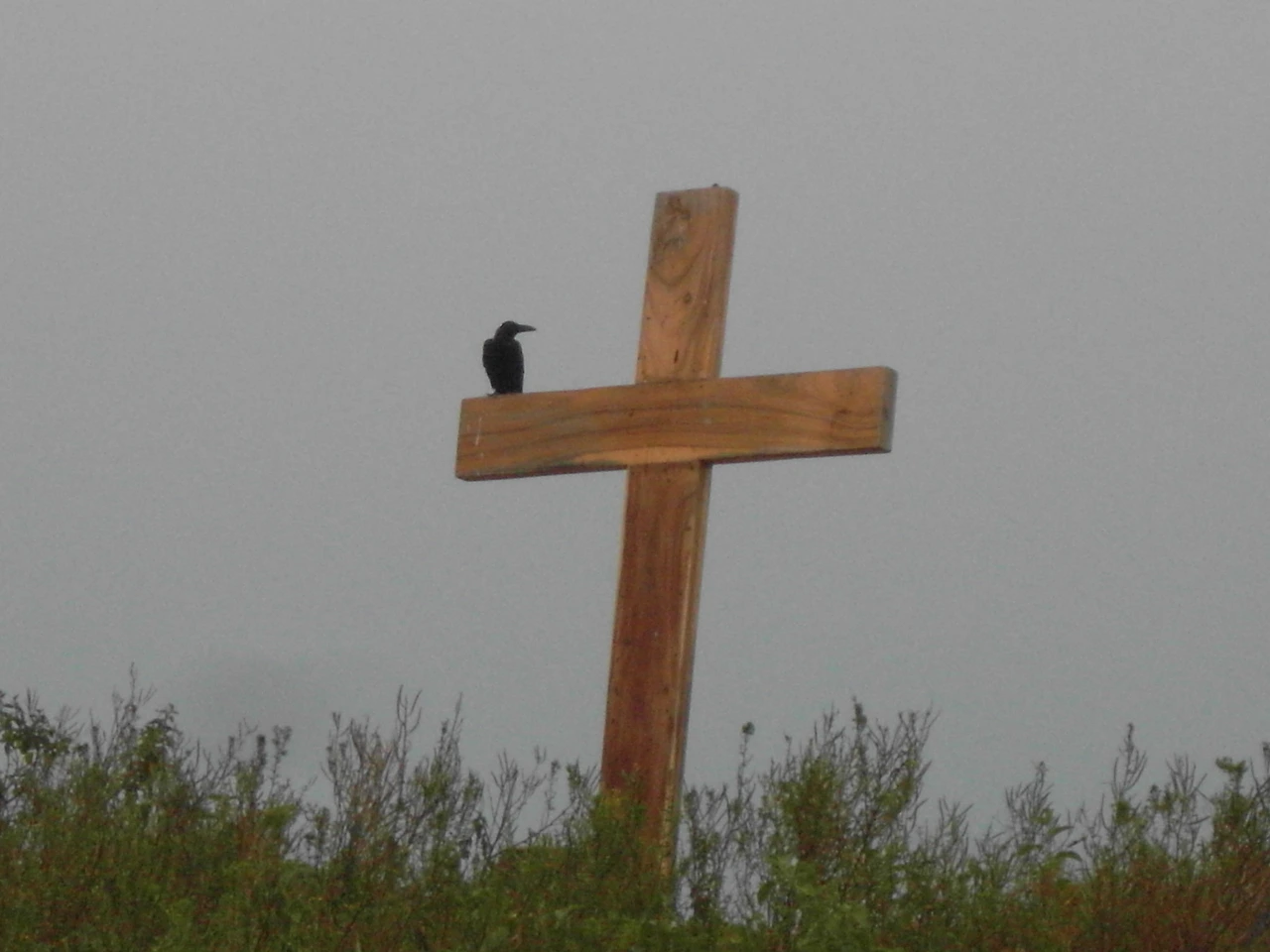 따가이따이 (57).JPG