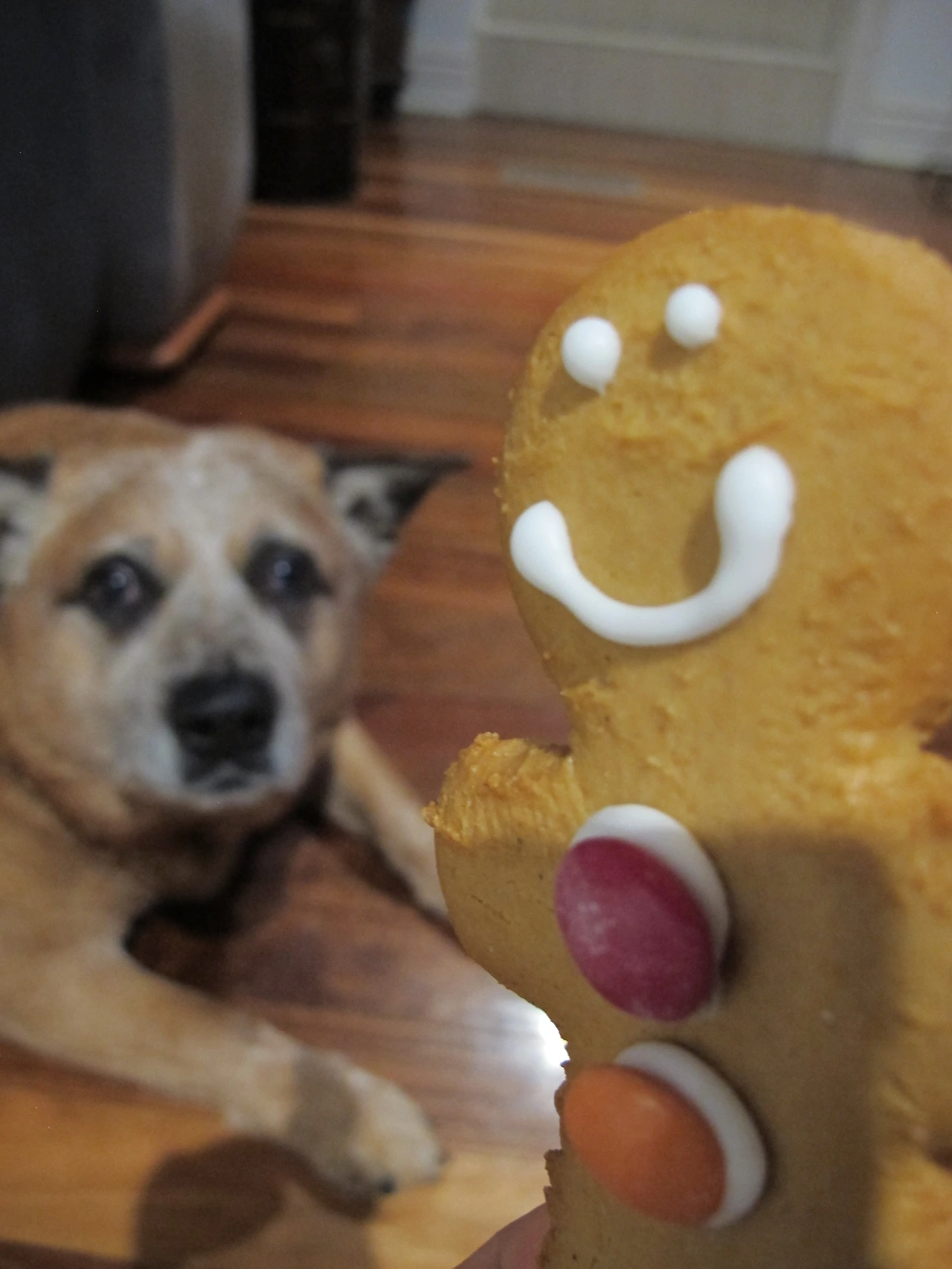 마약 검사 (6).JPG