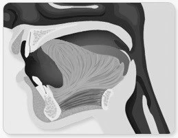 2225373857736CEA3651C2