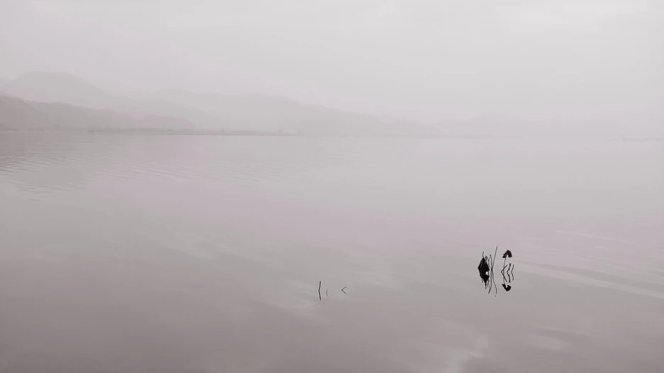 b82884_d53097855c6e4a04b5b5fbdf0b60758c.jpg?type=w1