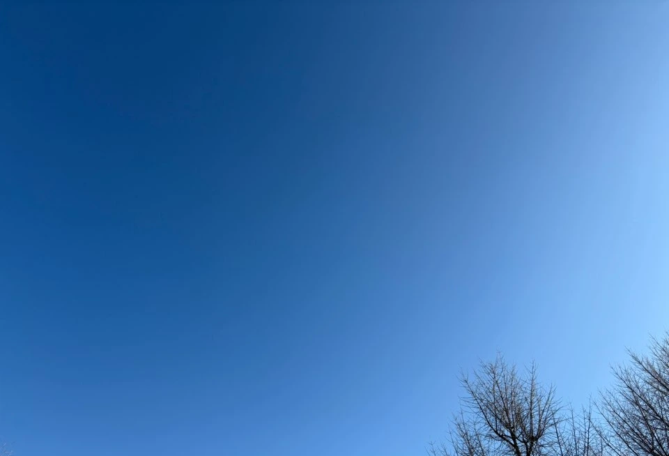 KakaoTalk_Photo_2025-01-12-13-24-26 003.jpeg