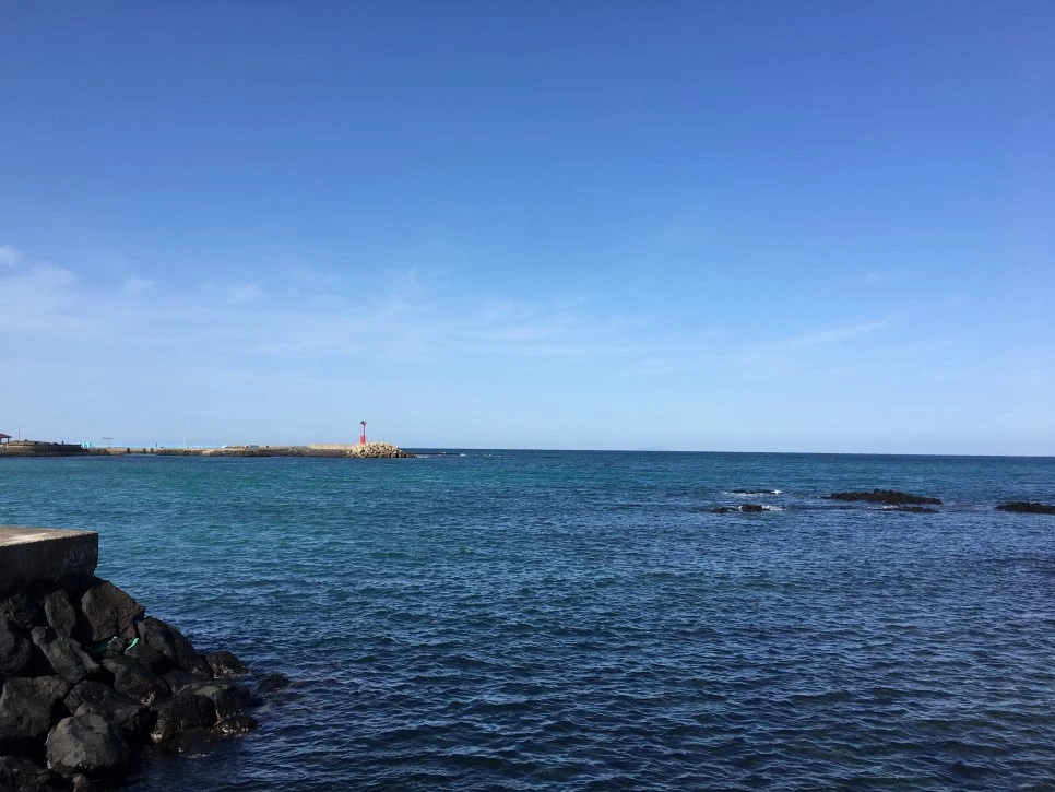 C8235D63-E2F7-42AE-A66E-E1F5655010C3.jpeg?type=w966