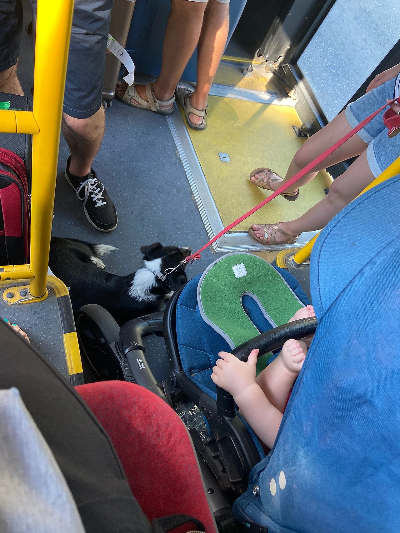 IMG_1919.JPG?type=w1600