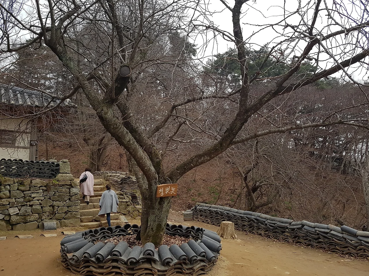 nctY2q8HWsWfBT08T5H3yf-A7gQkfAerqSzKpYd2lPtx_gj_YR2HwhN0qSH0lxYwuEIo5Qp_-xlE0zkw9GBaQmm6l21CeKQDNa7EsN-z4HrOCP7JGRzixmLIOnWvnGGU6_UcwIlEU6BgLoA79BfvgySPsF4UVwVhFo3s6rh8BixCaJRXqycU2fC5qL9aWhA_yT-dddbDAmwocg5mxtqiGC4i-AtTCLbBxlBHo8KIwKU-5GmJYm2oeQVFR7u1YOtqUSgLNqS2EnDvY72P-g1OgmvVhqSqxt9Y0lqdYtvFLWlTvvajPUsLSpZVafArozt1N68zZnsmdiL2iR_6wxC-8dnslYLACCq73-CbAiyJFTTjRxG5VK0jrrWoR986MyrpXmdXGc5KXv7hUvkdbJhGC50zx4JPic-Qm4cwqBicSDfI131tcmmvnsPH10f3HTqlVXNNKmKmt3Zg6mgeltcmBhXbP_czIJ7wsIi3vKTTkWEm2q0oXQVKZ9kzGknlHDhqRfwxrs8cA_FpBcUuDojuhP2_WMcnQf4BOk19u3ybJ7Nq1VVgTLJiFyDHNtht9EKYxXq63rbQOCTBZGn58iLJvulIMX9UpSbUA0WGgyS09aklwZP6yuTl8OQLdX593loJ6Eednmq4pmoq-UaKhiWG-tCGrGzGeUPG=w1894-h1420-no