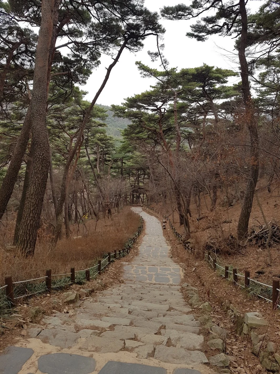 jfETU6kYkVJCt35An72cWonQ3zAqu7tYJa8FKnXrd6nDosxGRkK_7jI5UZ9lIlEwiyDoutOqRbIB_MXsczSc9yFo1PMQpD3es1l2AZ8nmEggGRY5ba5quaVT9yqEat008pgVK1ZHjgzAbWzs5mvhGuft0GgzCieT88hrCl0e0Wze-xjOG3QOhlVEFSg7O2Z96XVz4JarilfKX6g4Px_TodZhsDfCUAjWFS164K_OawYcCz9ytwi1fEulP2AeMQ6DtbwgkK3CqUk9JfCA0f36yyoDg6fmdZn5qDhP4qPTGqmy3p32csY_HY9nr3NA-ftluq5jVi1R2_tcFwiIvI-11T-iHlm6KdYa-tuH8BdAbchUKjvX7--92CIsLuoxyJdgtuauBLHMq7nnhMTgxUzlGtRMtHHC3aM99ffXR9Ai1lCiZh5oGBAdR0-_jTbXpL1LuZEU1XN0WUol4_lwsIjNc8TaK8B-LWjh2nvBdPFCUwQVT4fdcD3sXII_GUou2kktaUftuvFb6zqdeg6sTARqidVJv3lYlcemuvymy9wCKyOhLX0lZhVm4Os-Djzu9AYhQkEpm8ESX7xjsj1Ehh4g3S8g-PIPKE4zrn8ENhMlOv4lErjmycHGyAdscOrM35V0q7sun0CnLXAclEdEbgZ7_Am01-GqkX-s=w1066-h1420-no