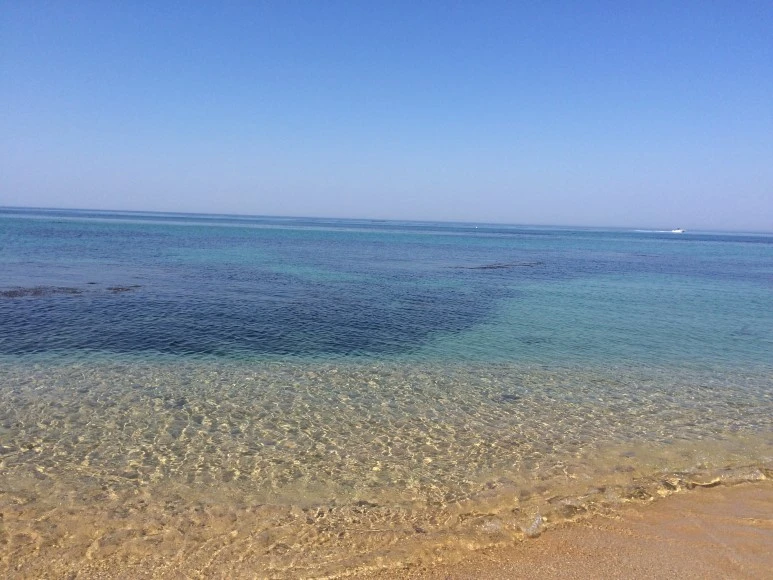 P20150524_152706246_0B2F0B65-8F68-4BC1-8D0E-30536CC027C9.JPG?type=w773