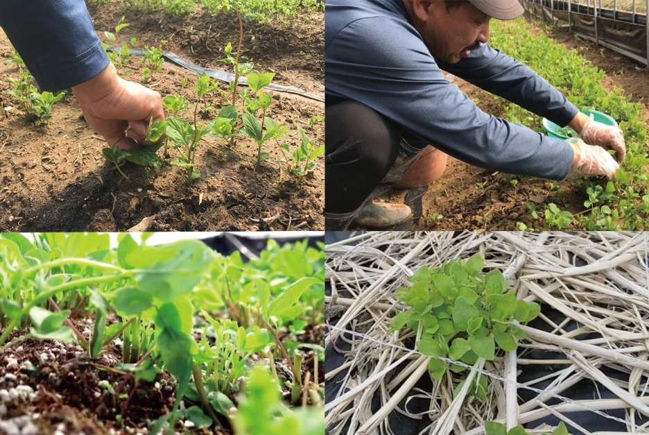 %EB%8D%94%EB%8D%95%EC%88%9C%EC%82%AC%EC%A7%84%EB%AA%A8%EC%9D%8C.png?type=w1