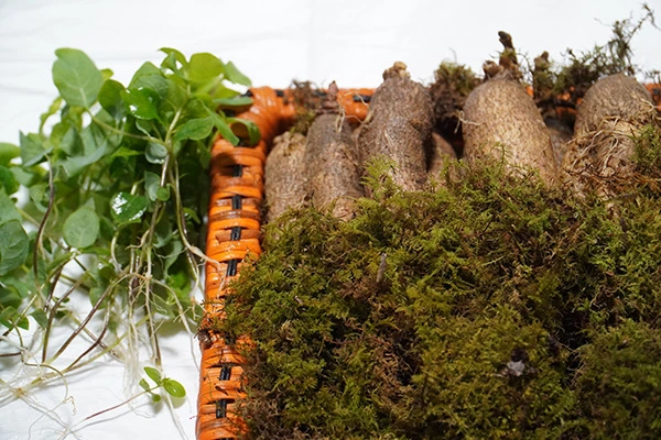 %EB%8D%94%EB%8D%95%EC%88%9C+%EB%8D%94%EB%8D%952.JPG?type=w1