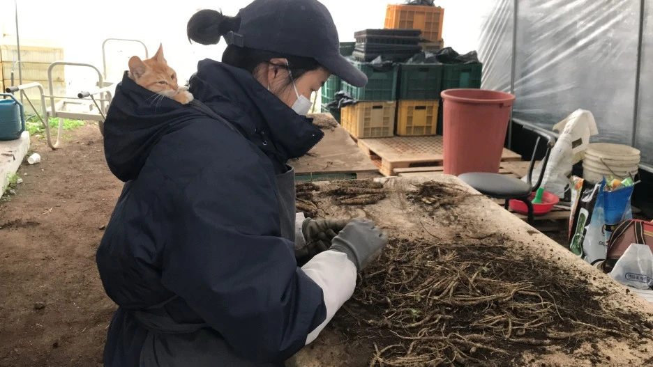 IMG_7849.JPG?type=w1