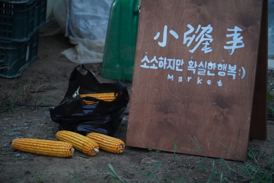 DSC00524.JPG?type=w1