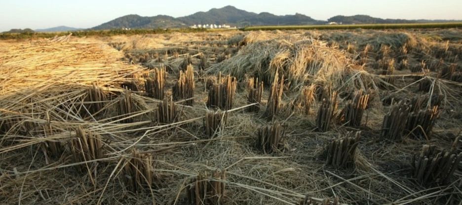 %EC%8A%A4%ED%81%AC%EB%A6%B0%EC%83%B7_2020-12-25_%EC%98%A4%ED%9B%84_6.27.46.png?type=w1