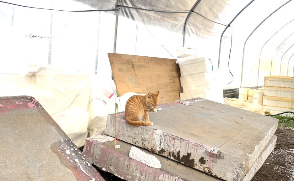 %EC%8A%A4%ED%81%AC%EB%A6%B0%EC%83%B7_2020-12-18_%EC%98%A4%ED%9B%84_12.19.49.png?type=w1