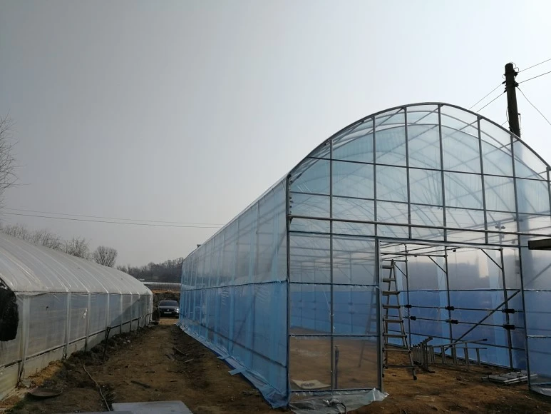 IMG_20170319_102825.jpg?type=w773