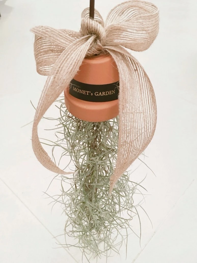 %EC%88%98%EC%97%BC%EC%8B%9D%EB%AC%BC.jpeg?type=w773